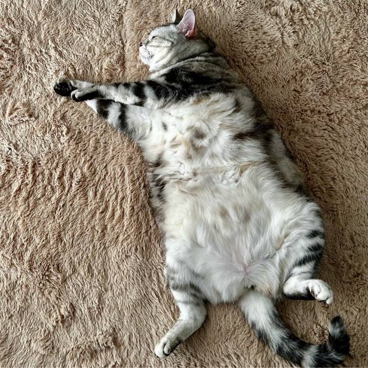 026b951f 9fe7 495a 9c5d 1c95204f5446 1764109557211