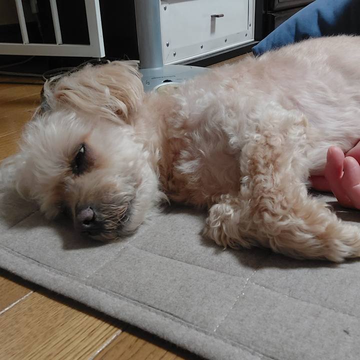 026b9b77 ba70 4848 9e28 ea06a8d7a396 1751090506571