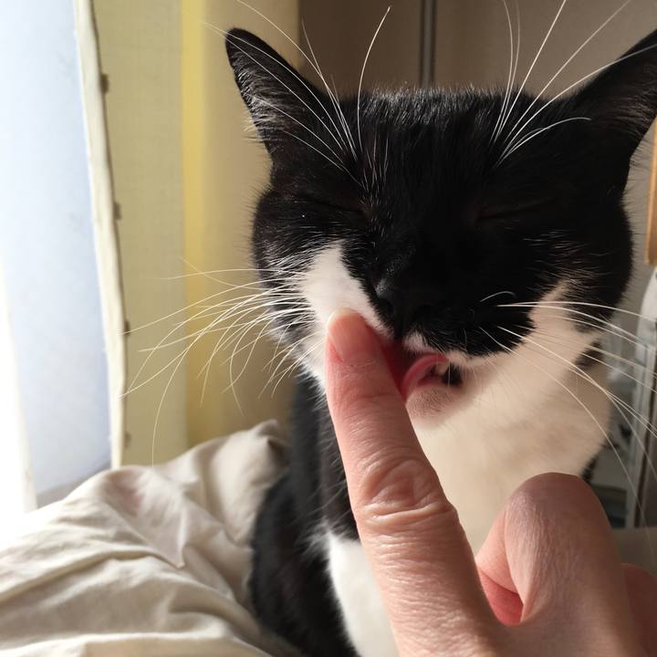 026bb04e 089c 4301 ab14 51317a611f9e 1542270845338