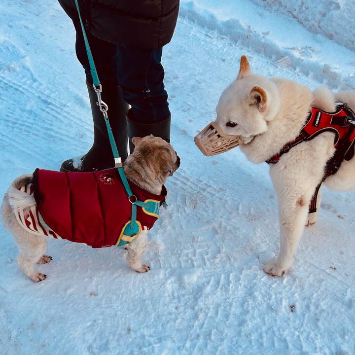 026bc1d8 2205 4aeb 874b ca0bac4b04a6 1709250679090