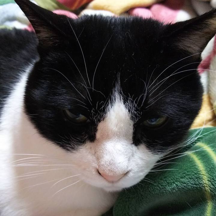 026bdde1 4a74 4a7b a98f 390dc35a2bf7 1552427067874