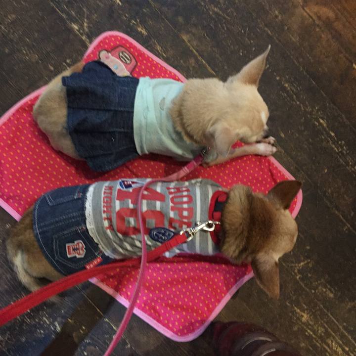 026be5fa 4777 4eea a5f4 3650219167e5 1508044053029