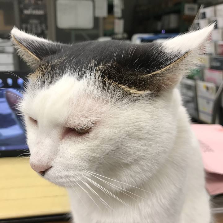 026bf210 635e 48f6 88d7 6f62890adad2 1510647553623