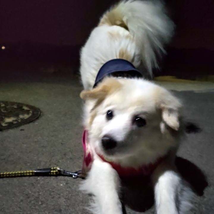 026c028e 17ce 4d87 b9b4 a248f863e149 1643749955941