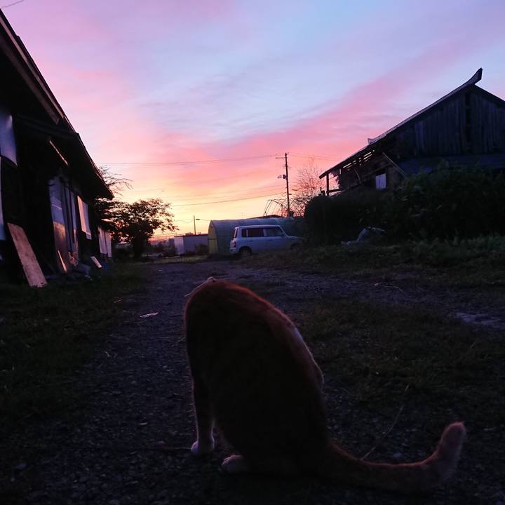 026c26b4 28c5 46bf 8fbd 5c11a2524d7b 1568319905624