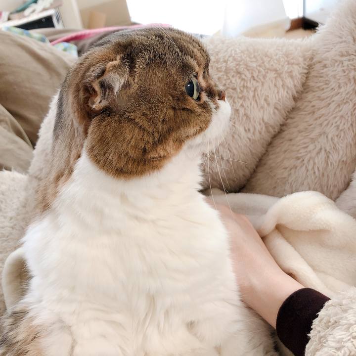 026c452d f9de 4fba 8bc9 f6fc001ad2d9 1584961253265