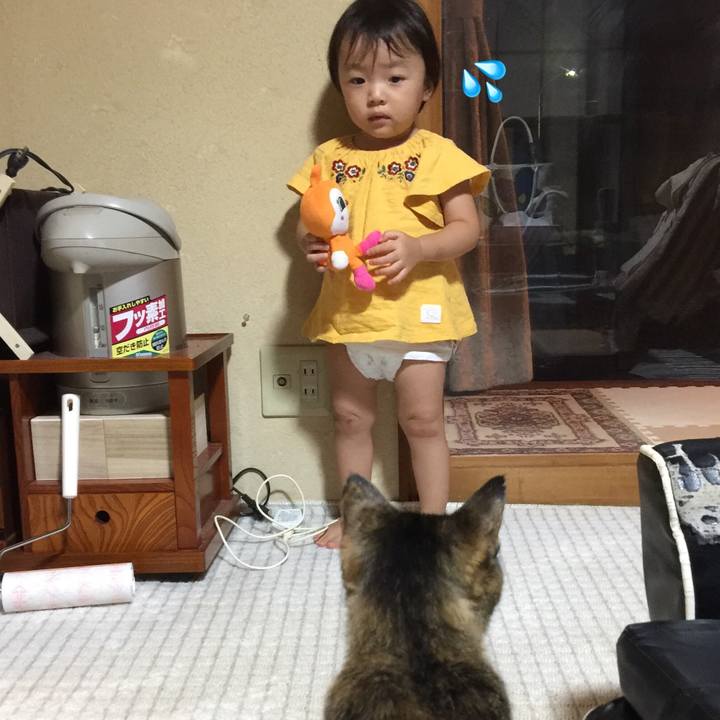 026c6a14 f054 4be5 bea1 b54ed7b7b78f 1534069780571