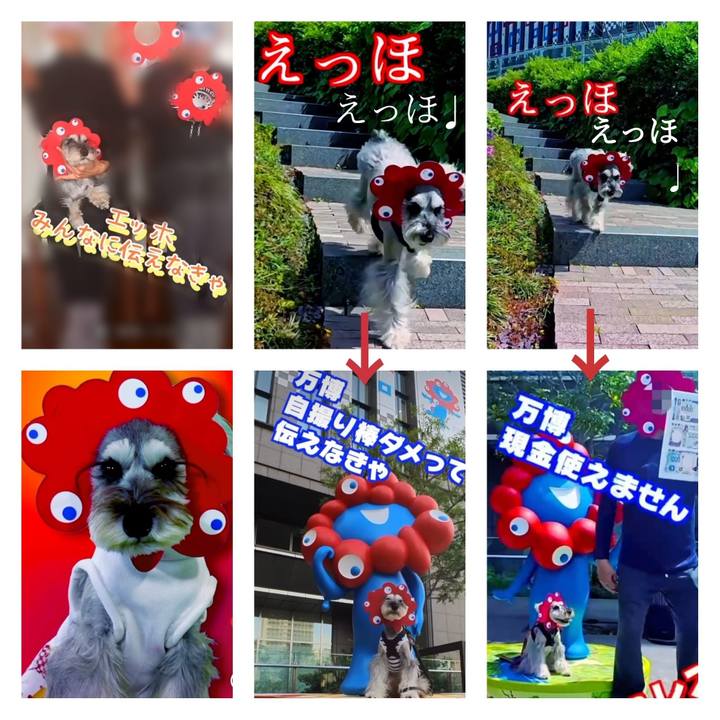 026c86e6 b385 482f aca8 826aa0fb58b1 1746584403746