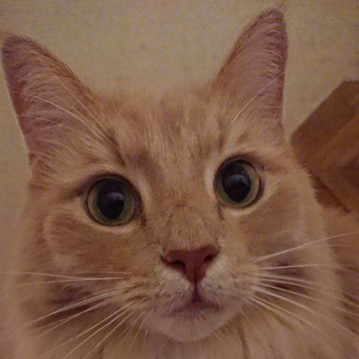 026c9f2b fb83 4f4e aa91 c6bfc307557e 1570963102444