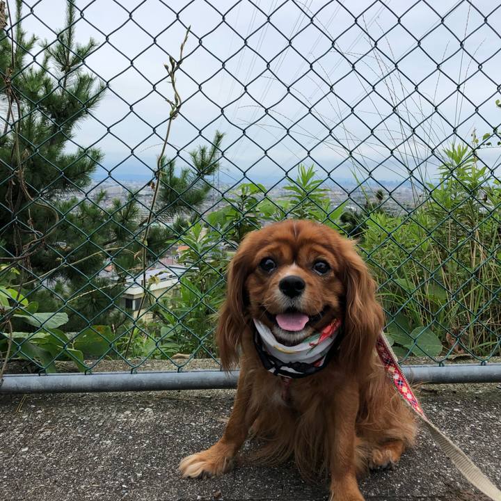 026c9f65 8cf2 4a5b aee5 7ff8698f98ec 1595494076338