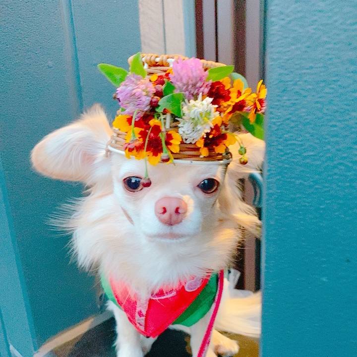 026ca4a4 c517 45cd ba62 4bbfd493c1e4 1623330218984