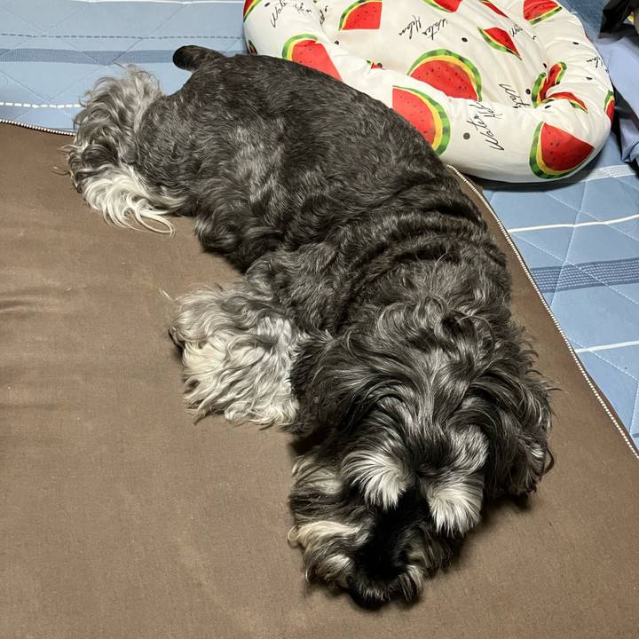 026ce747 f7d7 4832 8ae8 013d52ae024a 1726235445254