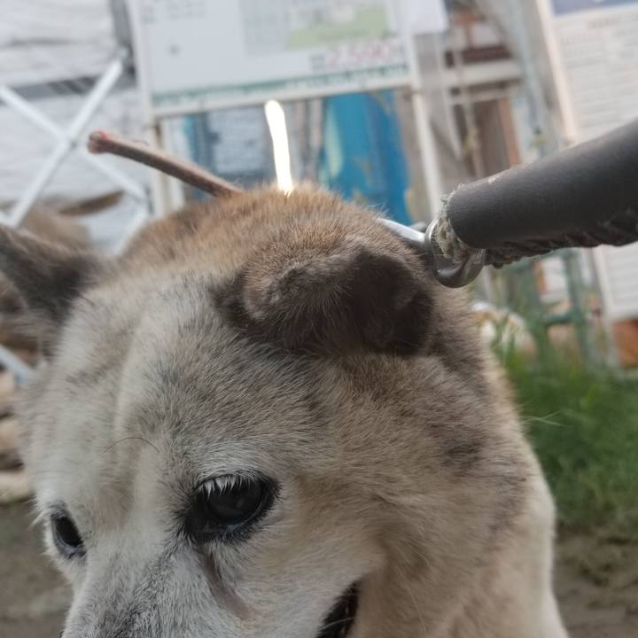 026d21e2 153c 48c9 9ab2 2d71a5c26da3 1694554170354