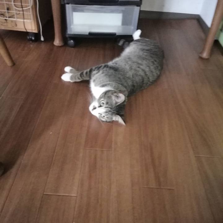 026d2d34 fdb6 406c 86aa 2015484b500c 1694909209188