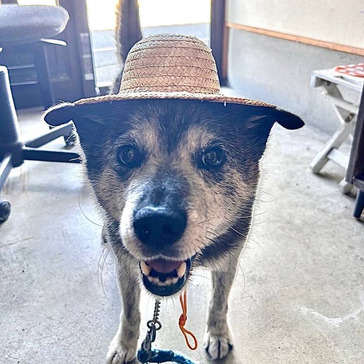 026d64a5 28d7 4b53 80f4 6d35f0de6ef6 1755312681784