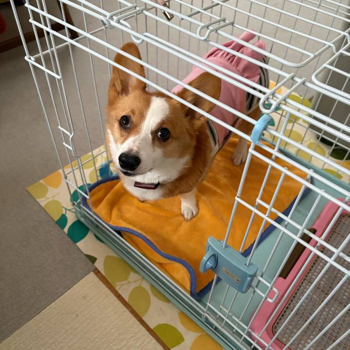 026d94bb e117 4806 9ebb 97969315da98 1770706639465