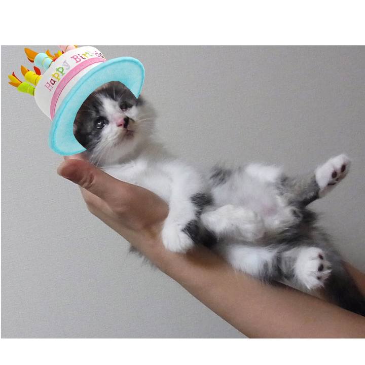 026d9a30 b18d 4bfb bb94 6537d1111fb9 1563256584963