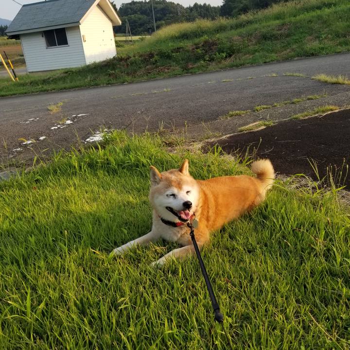 026dc461 78c6 43e4 a683 fc340ded97ac 1725870094920