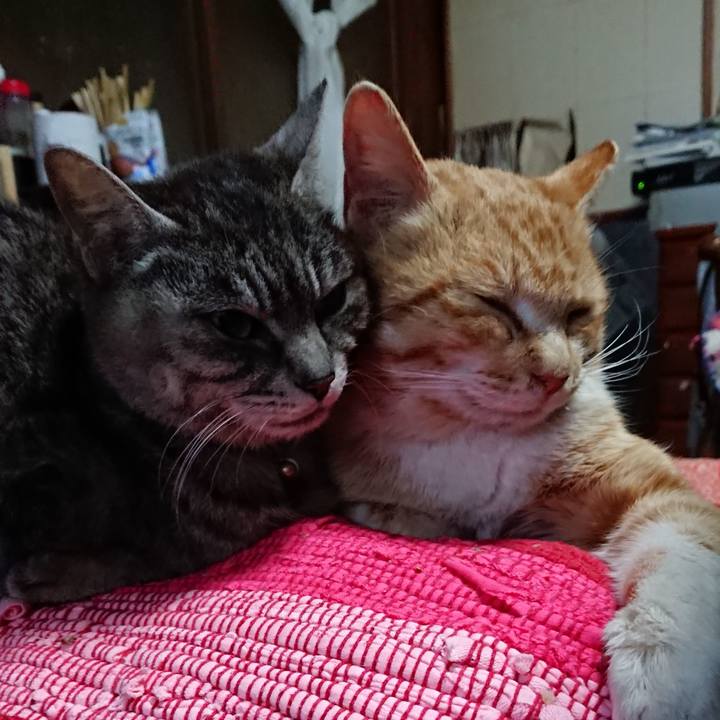 026dd441 d05b 4490 b4ad ab506852218d 1554929549520