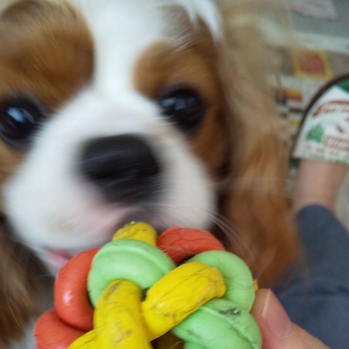 026e0825 dfbf 4f60 a2d8 bd4e7848e2de 1590220922604