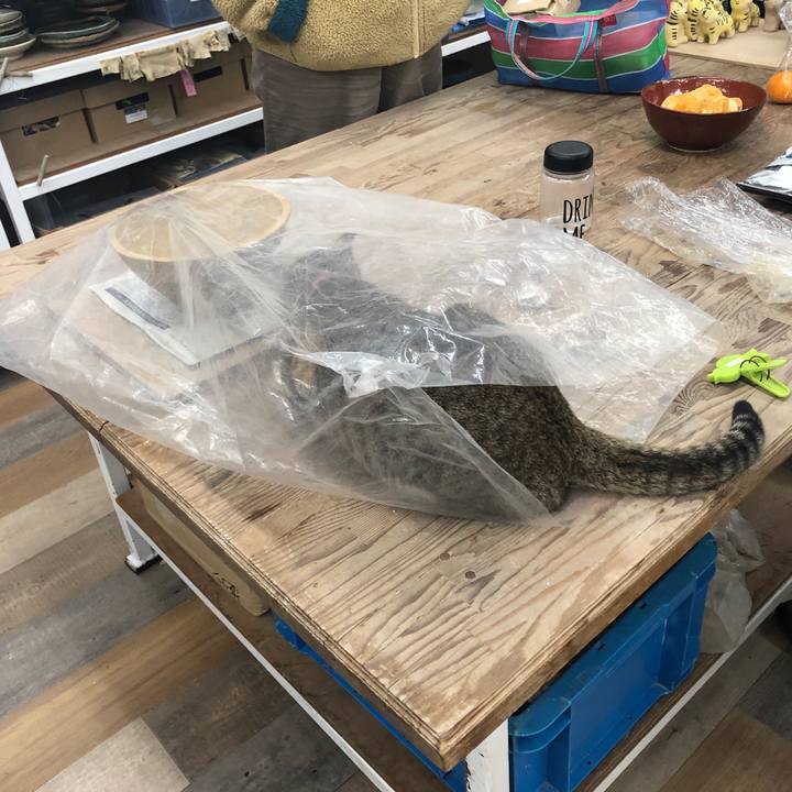 026e2f73 5433 4321 b8a9 aced25cdab1b 1638534916682