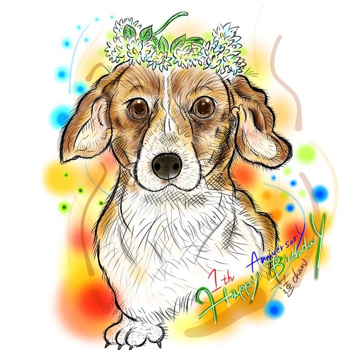 026e3131 fa59 4849 a5c9 2d7a36579afe 1614273808621