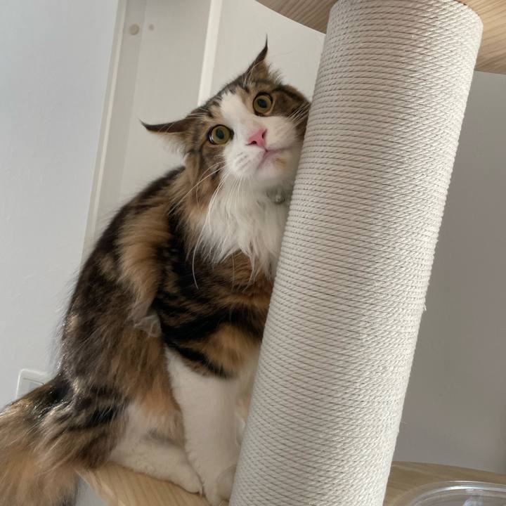 026e326b 8a79 42b9 85bc 300e5761a13d 1653862012083