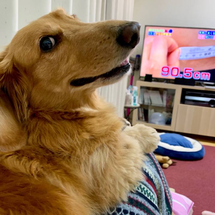 026e54aa 5a05 4a5b 9140 11cd00a36bab 1543923689747