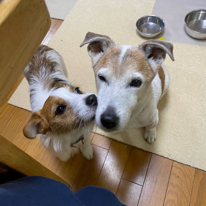 026e648d 08d3 4f14 8b49 07ade92fbf8d 1640126658874