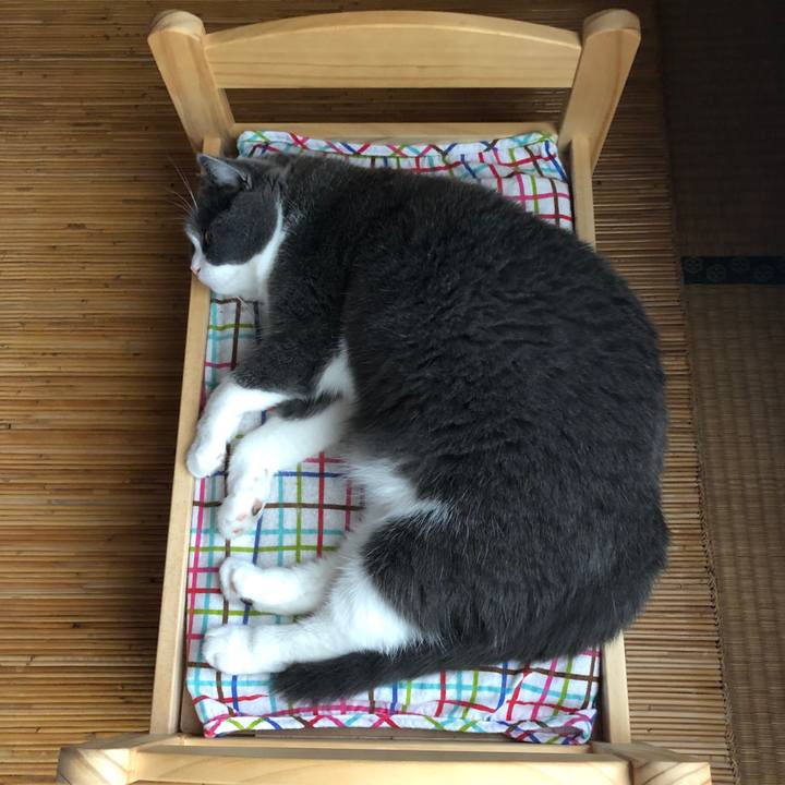 026e84dc 9828 48e0 921d a16cebb5e416 1564709794351