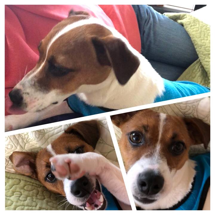 026ed28c 95c7 4aab a876 8c30c4307e6a 1527296402687