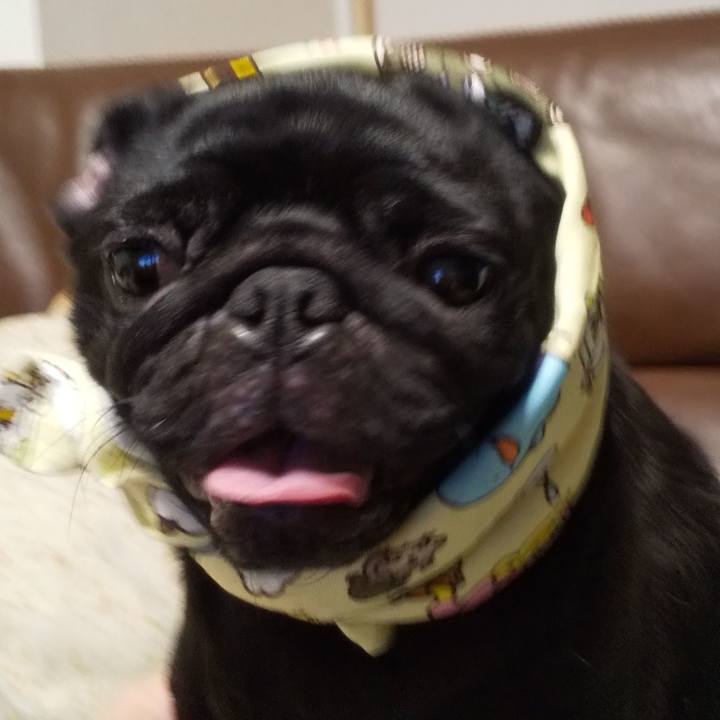 026ed6aa a404 47dd 99f4 0184fe78916f 1660050709208