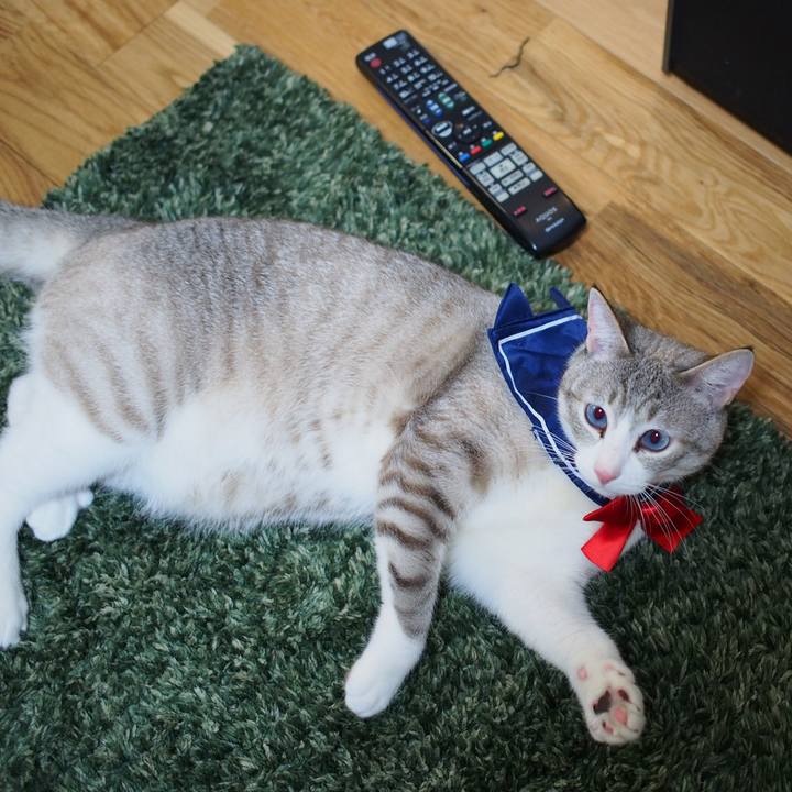 026ee890 1d93 4e09 9a97 386d95323537 1550758732750