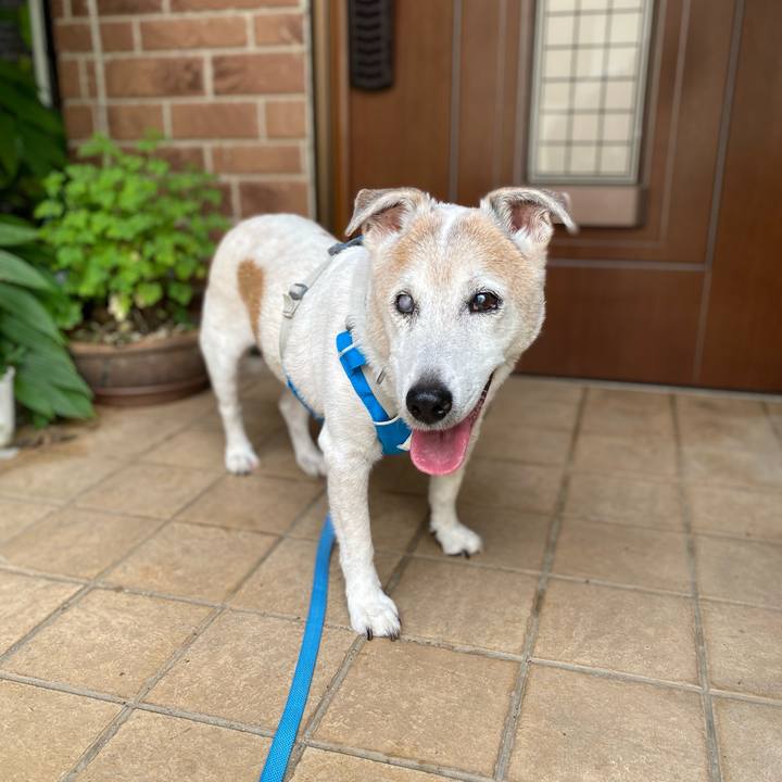 026f156d 04e4 4b6c bac4 ead5bb4abaa4 1688292653387