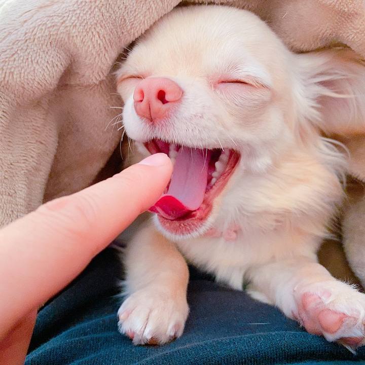 026f1aa9 0831 4ff3 a4e3 fb5f808df586 1614132745963