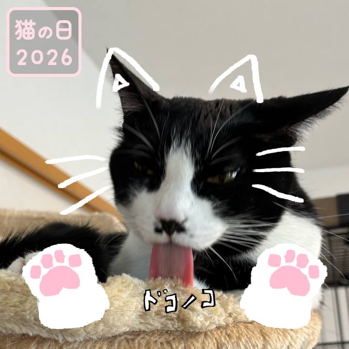 026f3287 bcd7 486f b704 d1aad3929f41 1771723148951