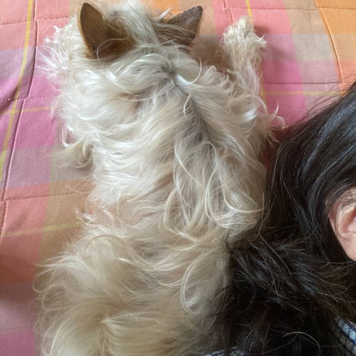 026f3c26 158d 433b acdf 261f37ad190d 1624428306851