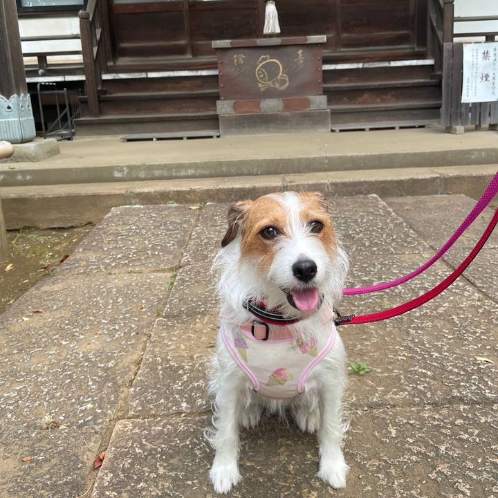 026f461c a7a8 4b2a 83da 0e94d4828642 1785364285854