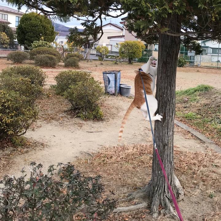 026f58cb 297d 43f0 a1c8 7e01cb25f3f3 1512705413147