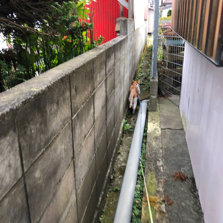 026f8c19 278a 403d 9876 b6c07e7aba32 1542871895372