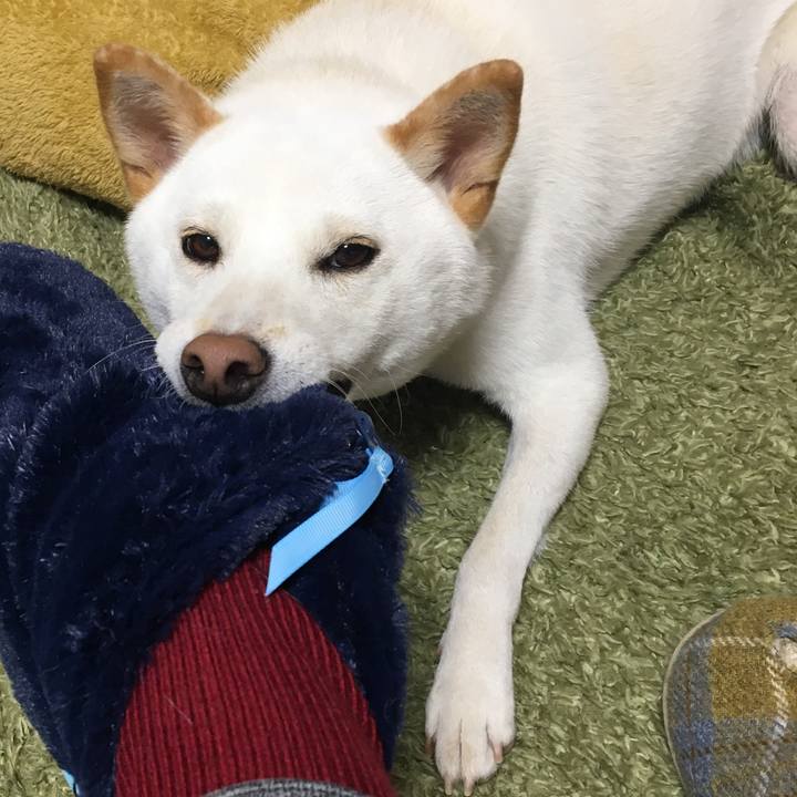 026f93d8 c8a7 4763 9439 23a32016f36a 1542717377677