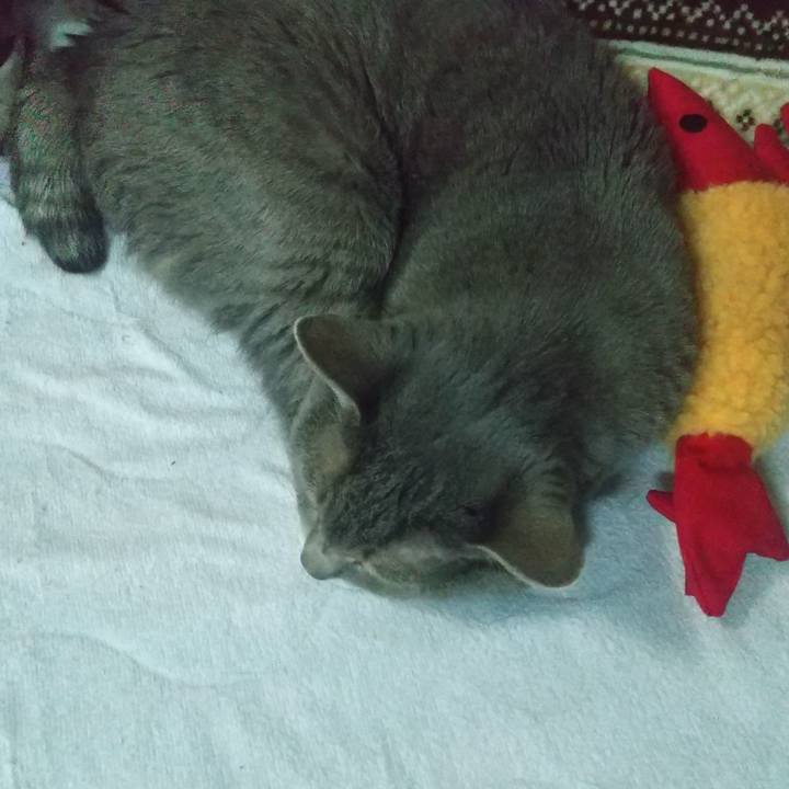 026fae4b 8097 4dcd 903b d9307df1d0d1 1673216844296