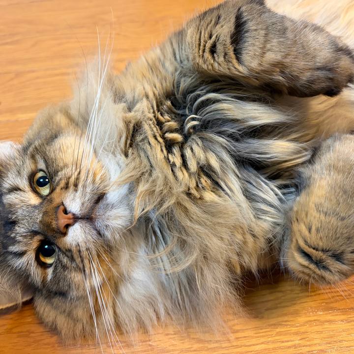 026fcd2a ab28 476e 822e 156ba09f622e 1781735420603
