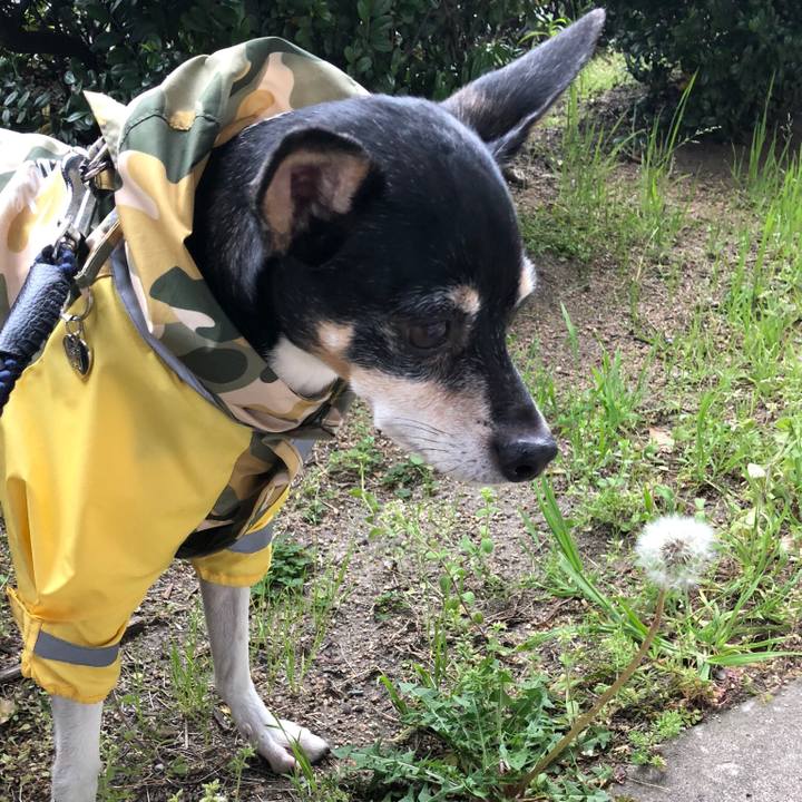 026ff141 4d00 4b30 af7c bab19d02580e 1523701589444