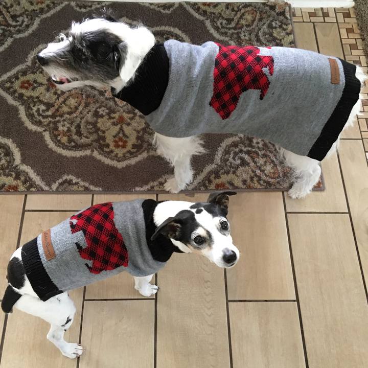 02706dc7 5ba7 4d82 86d1 fa7f2789cbfd 1576622759908