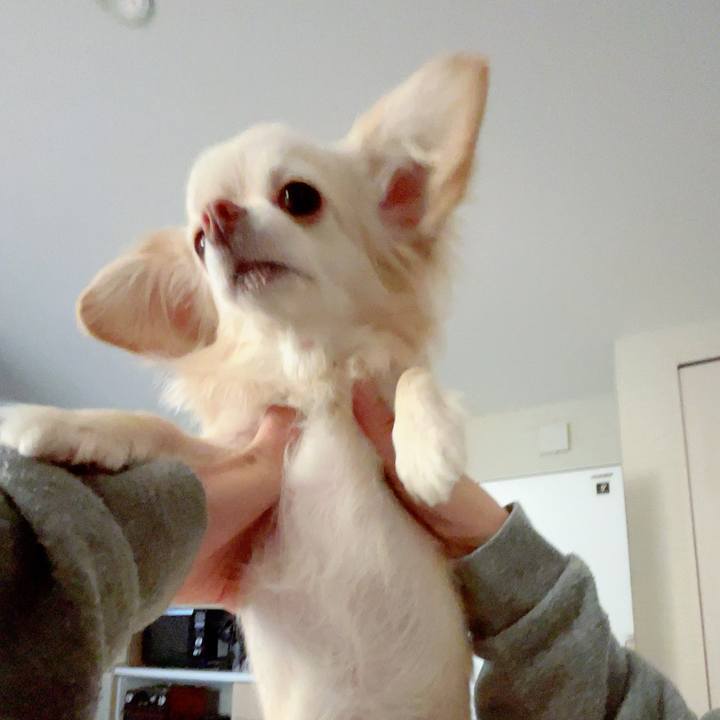 02707061 0b02 486f 896d 7ba95f239305 1711030602654