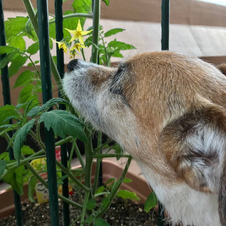 02708103 1b81 454c a76b 1dde41e51483 1590364871315