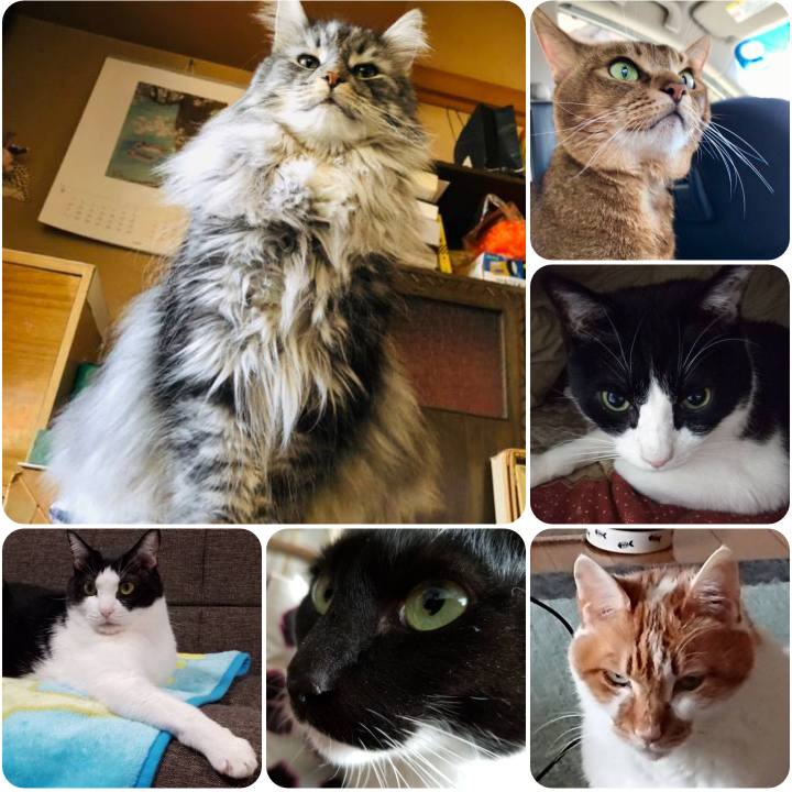 027088e9 c6e1 4e8b 97c4 28e541400534 1555239909553