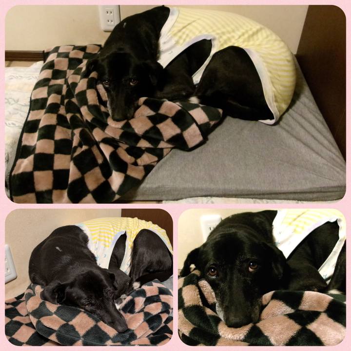 02709735 2812 40a3 8110 59a8735cfb02 1733703650591