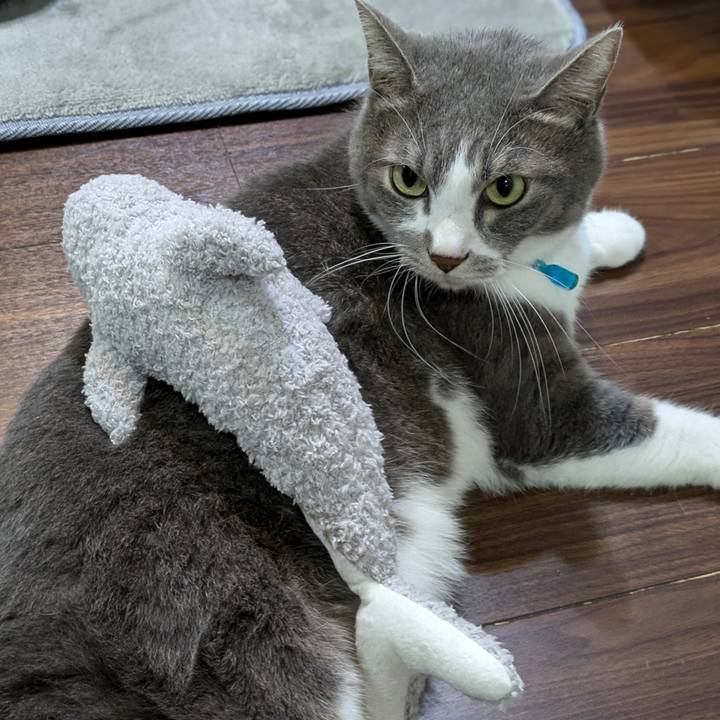 0270a706 bf7b 44cc 9c8f 15160ddff85c 1727697762351